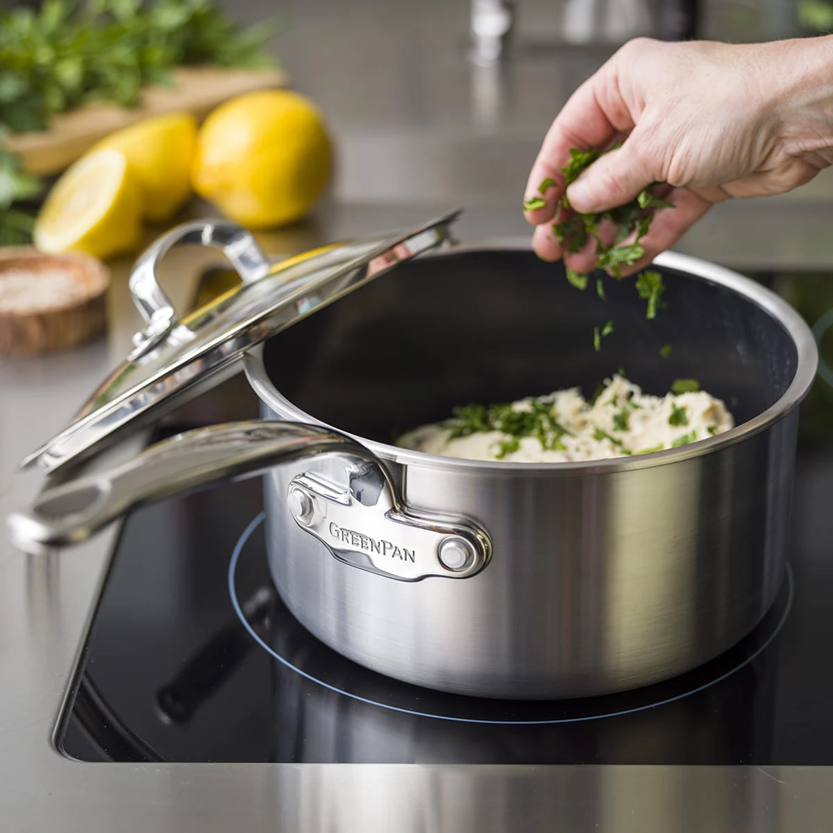 Premiere<br> Saucepan With Lid, Stainless Steel - 20cm 8 Premiere<br> Saucepan With Lid, Stainless Steel - 20cm - Image 8